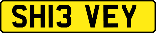 SH13VEY
