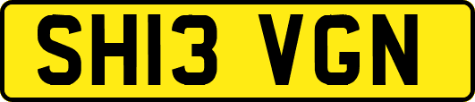 SH13VGN