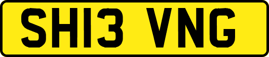 SH13VNG