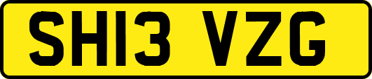 SH13VZG