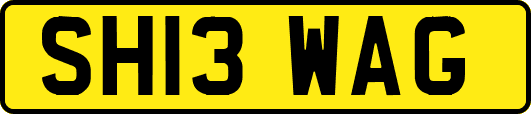SH13WAG