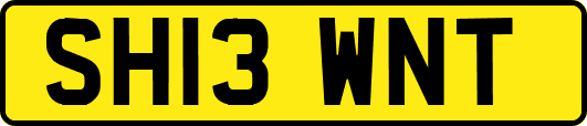 SH13WNT