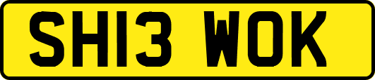 SH13WOK