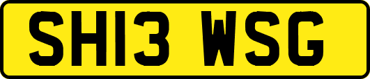 SH13WSG