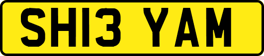 SH13YAM