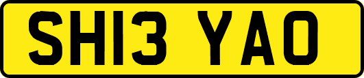 SH13YAO