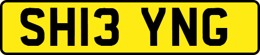SH13YNG