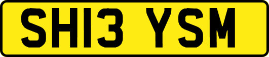 SH13YSM