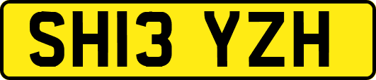 SH13YZH