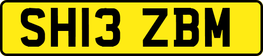 SH13ZBM