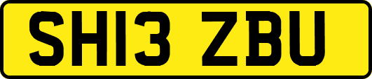 SH13ZBU