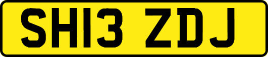 SH13ZDJ