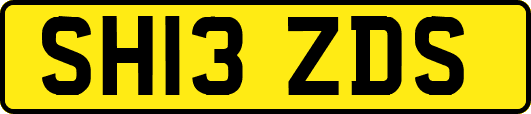 SH13ZDS