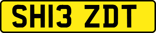 SH13ZDT