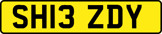 SH13ZDY
