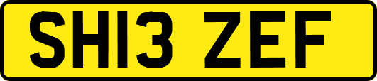SH13ZEF