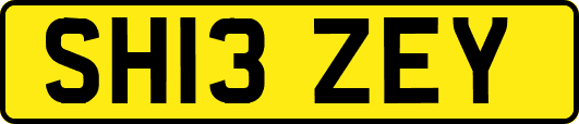 SH13ZEY