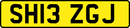 SH13ZGJ