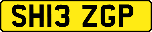 SH13ZGP