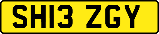 SH13ZGY