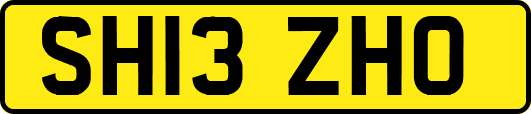 SH13ZHO