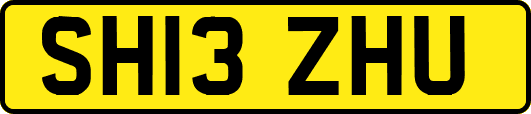 SH13ZHU