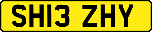 SH13ZHY