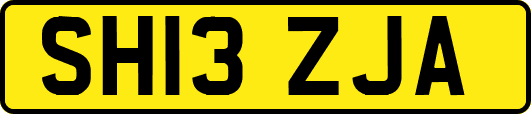 SH13ZJA