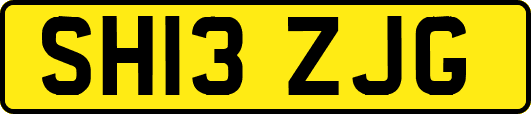 SH13ZJG