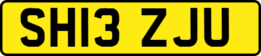SH13ZJU
