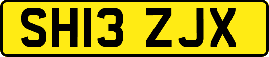 SH13ZJX