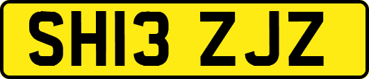 SH13ZJZ