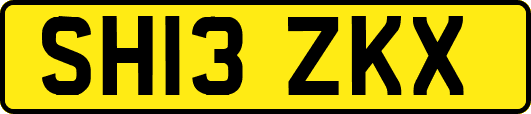 SH13ZKX