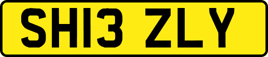 SH13ZLY