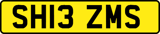 SH13ZMS