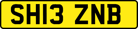 SH13ZNB