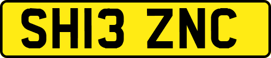 SH13ZNC