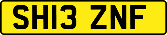 SH13ZNF
