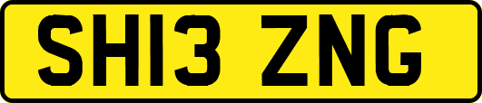 SH13ZNG