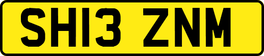 SH13ZNM