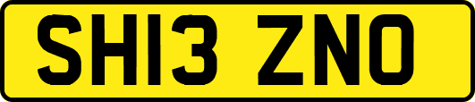 SH13ZNO