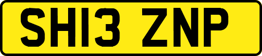 SH13ZNP