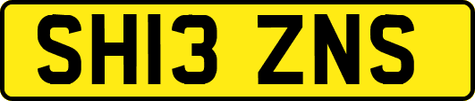SH13ZNS