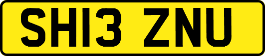 SH13ZNU