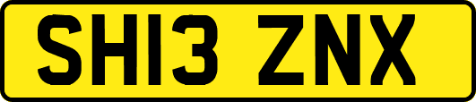 SH13ZNX