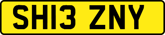 SH13ZNY