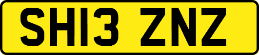 SH13ZNZ