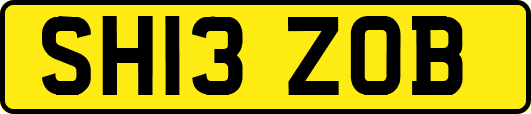 SH13ZOB
