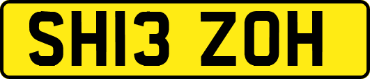SH13ZOH