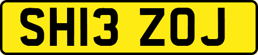 SH13ZOJ